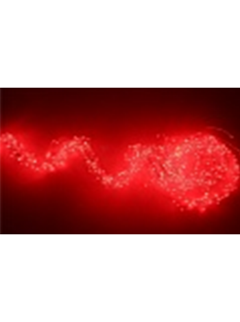 Светодидоная гирлянда "Лоза" 200LED, 12V,5W (красный)