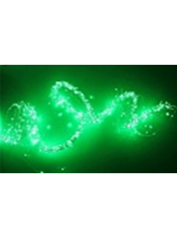 Светодидоная гирлянда "Лоза" 200LED,12V,W (зеленый)
