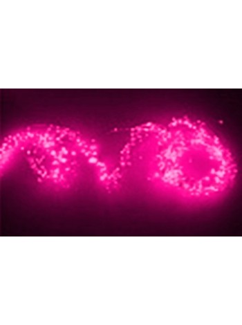 Светодидоная гирлянда "Лоза" 200LED, 12V, 5W (розовый)